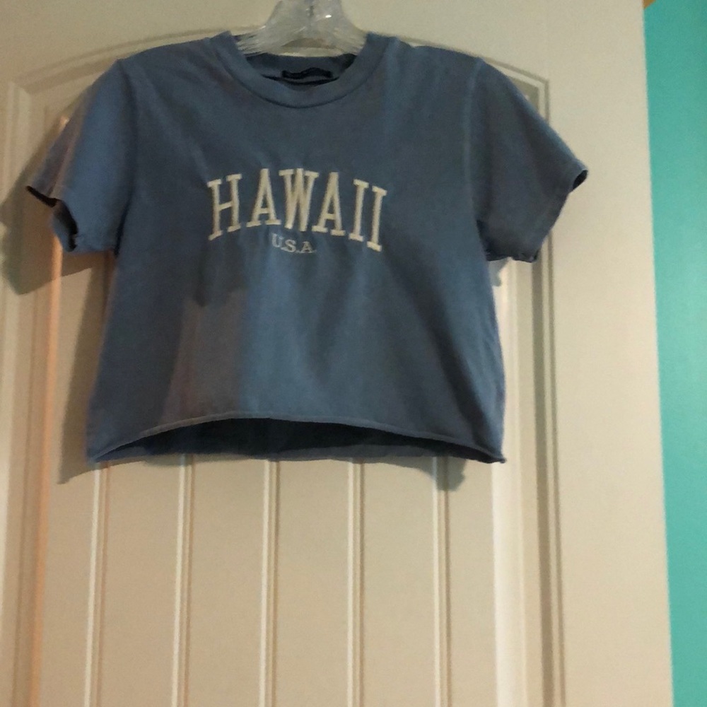 Hawaii Brady Melville crop top